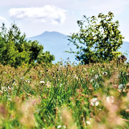 Podere Pietraporciana - Rifugio Escursionistico Ostello *